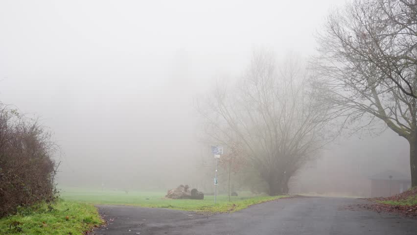 Gloomy Trail With Dormant Trees And Damp Grass, Overcast Walkway Lined By Leafless Trees With Moist Ground, Hazy Forest Path Beneath Leafless Trees And Lone Bench In Drizzle
