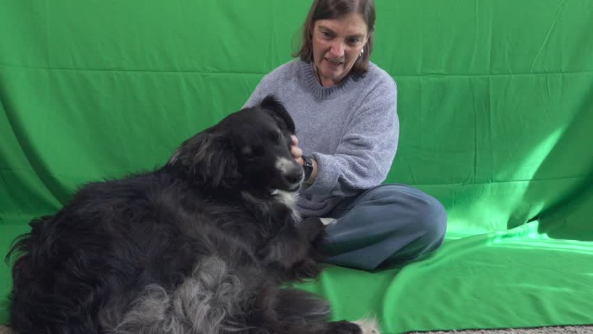 A woman sits on a couch with a large black dog laying on her lap. The woman is petting the dog and the dog appears to be enjoying the attention. Concept of warmth and companionship between the woman