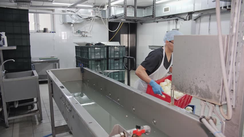 Worker washing onions on an industrial conveyor line