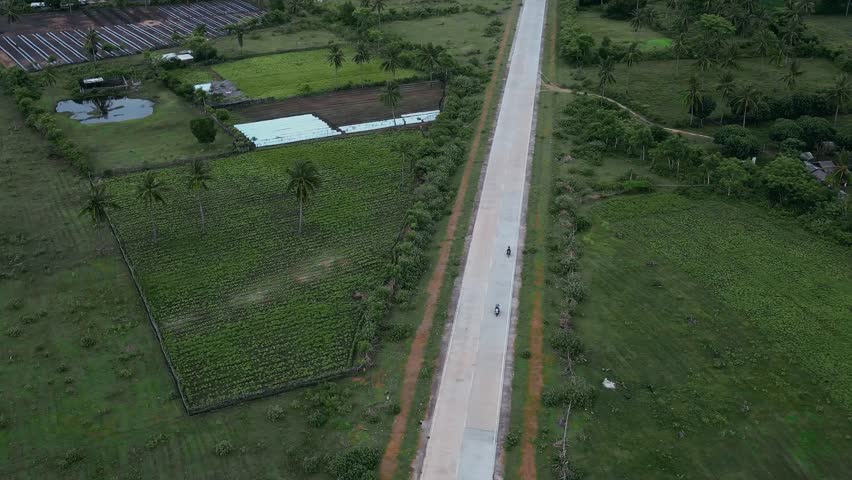 Aerial View Rural Highway Cutting Through Farmland, Long Straight Road Bordered By Green Fields And Scattered Farm Buildings, Palm Trees And Irrigation Ponds Visible, Minimal Traffic, Drone Survey