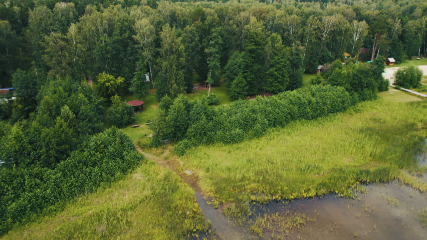Aerial view of a lake shore and green forest