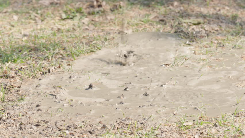A dirt patch with a hole in the middle. There is a grassy area around the dirt patch