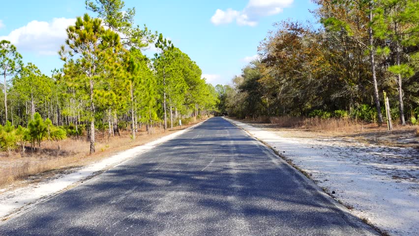riding a bike in a florida park in winter