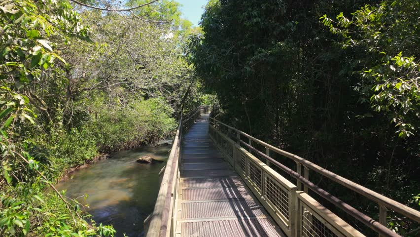 People exploring a forest trail on a footbridge over a small river in Iguazu National Park