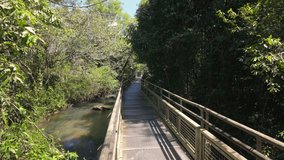 People exploring a forest trail on a footbridge over a small river in Iguazu National Park - Powered by Shutterstock - Get 15% off with code: PIKWIZARD15