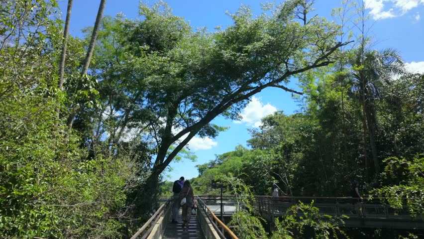Visitors exploring Iguazu National Park, surrounded by tropical foliage under a clear sky, Argentina