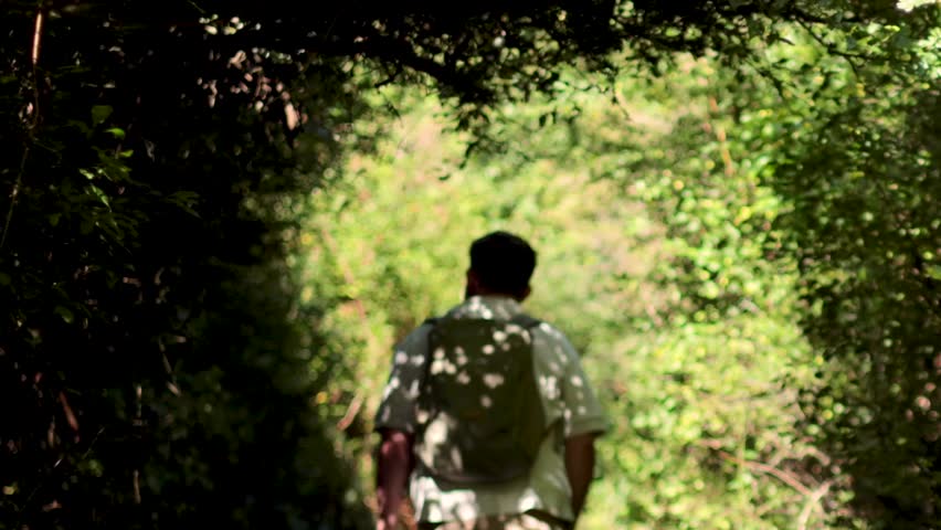 A man with a backpack walks away through a bright, sunlit forest path tunnel.