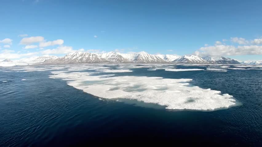 Ice floes drift across the Arctic Ocean with snow-capped mountains in the distance, showcasing a serene and icy polar landscape.