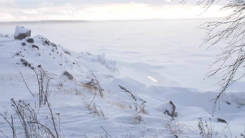 Windy winter landscape during snow storm, Finland
