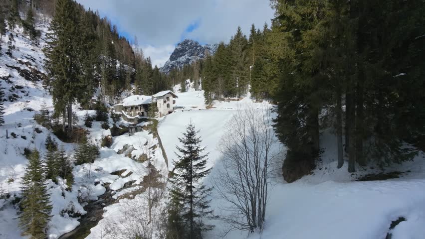 Cima Sappada, covered in snow. The magic of Friuli.