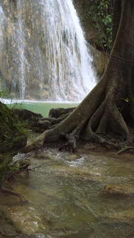 Portrait footage of a natural waterfall with a rushing stream of water amidst lush trees. 4K footage of a dramatic video of a waterfall nestled among lush trees with clear, fast-flowing water.