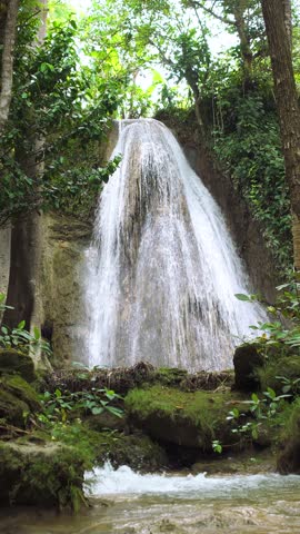Portrait footage of a natural waterfall with a rushing stream of water amidst lush trees. 4K footage of a dramatic video of a waterfall nestled among lush trees with clear, fast-flowing water.