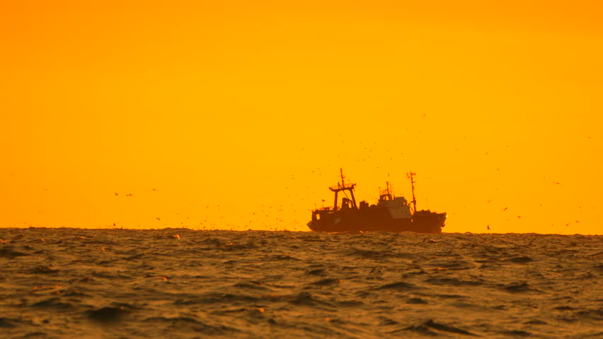 Fishing Sunset Birds: Fishing boat sails on sea at sunset during golden hour.