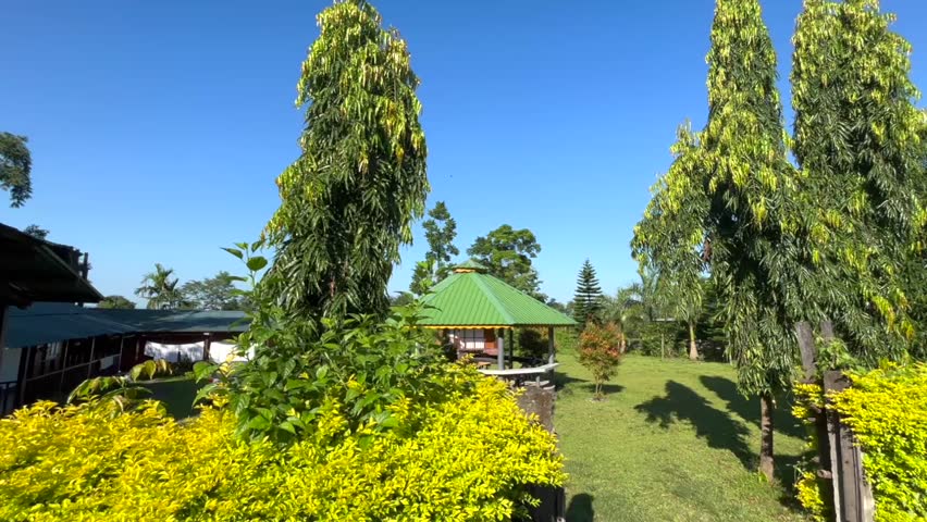 A peaceful garden scene featuring a small gazebo with a green roof surrounded by tall trees, trimmed bushes, and vibrant yellow plants under a clear blue sky. The landscaped lawn and natural sunlight create a relaxing outdoor environment ideal for leisure, travel, and park concepts.
