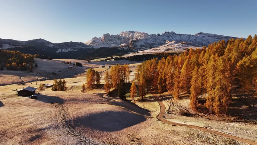 Stunning drone view of the Sassolungo mountain range, Langkofel in the Dolomites. Majestic alpine peaks covered in light snow, autumn colored forest all around, and yellow grass covered in morning white hoarfrost. Picturesque natural landscape