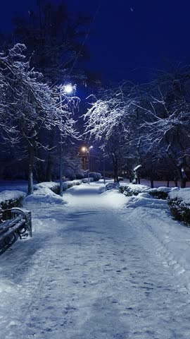 Snowy winter park at night with an empty path and wooden bench. Bright streetlights illuminate the white landscape under a dark blue evening sky. Serene view.
