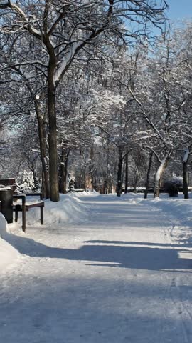 A serene winter park path covered in fresh white snow with trees and benches during the day. This snowy landscape offers a quiet and peaceful outdoor atmosphere.