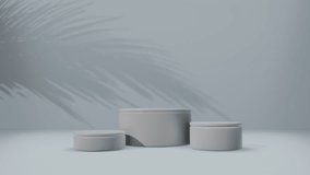 White cylinder pedestal podium and palm leaf 3D Minimal scene background, illuminated by soft natural light. Perfect for elegant product showcases, branding or futuristic presentations 3D animation - Powered by Shutterstock - Get 15% off with code: PIKWIZARD15