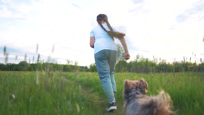 Woman running with her dog in field. Girl is running outside with dog. A casual back view of nature and a fun companionship. A woman is jogging with lifestyle her dog in a meadow.