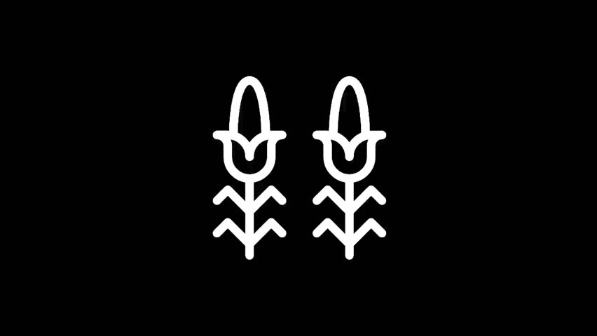 Minimalist vector illustration depicting two stylized corn plants with leaves and cobs against a solid black backdrop