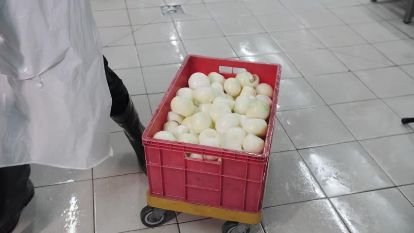 peeled clean onions are stacked on an industrial scale in food production