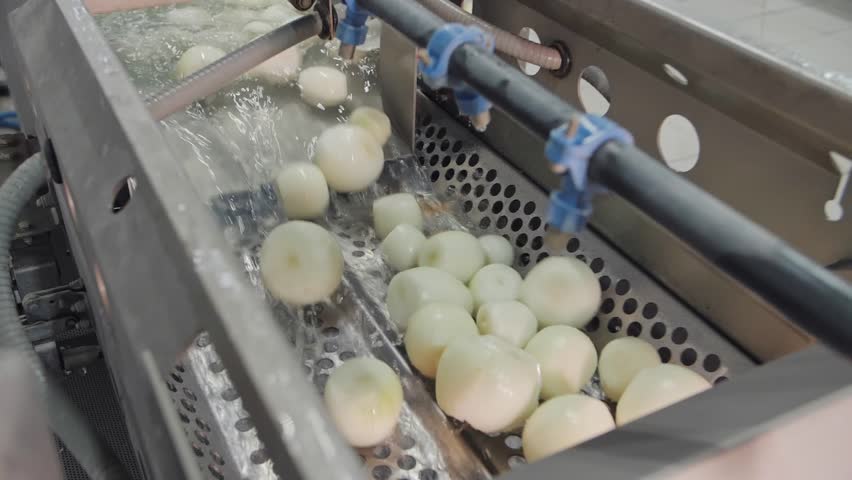 Onion Washing Machine In Production Line