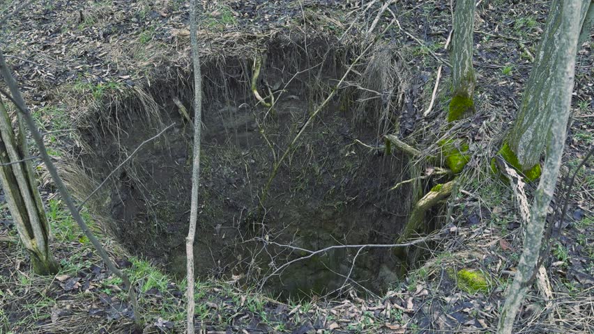 Close top view looking down into a deep old water well in a rural area, overgrown vegetation around the opening.
