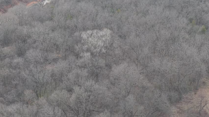 Aerial drone view of winding river flowing through winter pasture and wooded rural landscape in Oklahoma farmland.