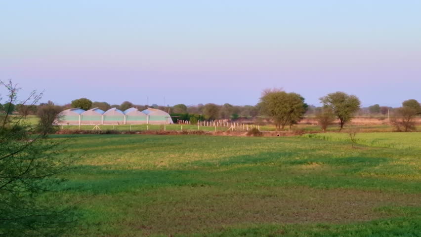 Green agricultural fields stretch across a rural landscape with scattered trees and farm structures in the distance. A group of greenhouse-style buildings stands along the horizon under a clear sky.