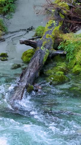 Overhead vertical shot of clear turquoise water flowing around a moss-covered log and riverbank.