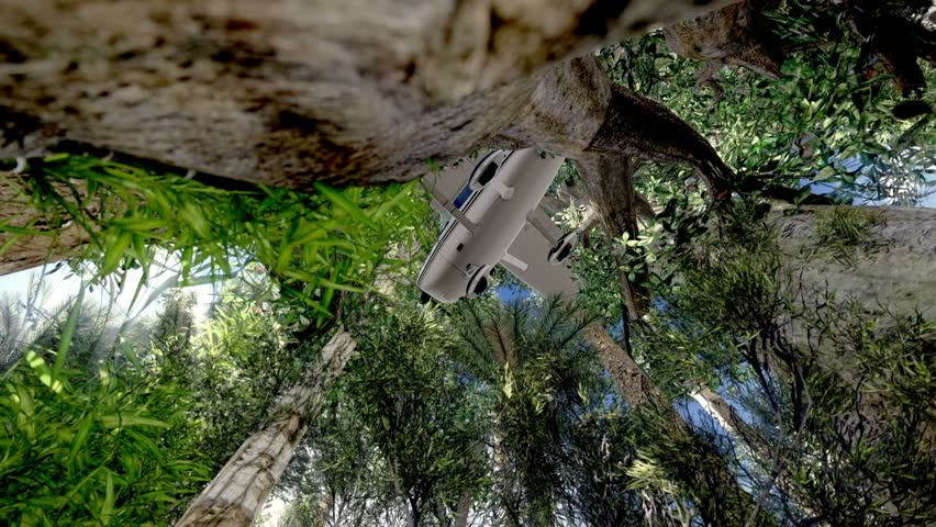 Downed plane stuck in trees
