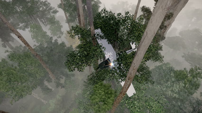 Downed plane stuck in trees
