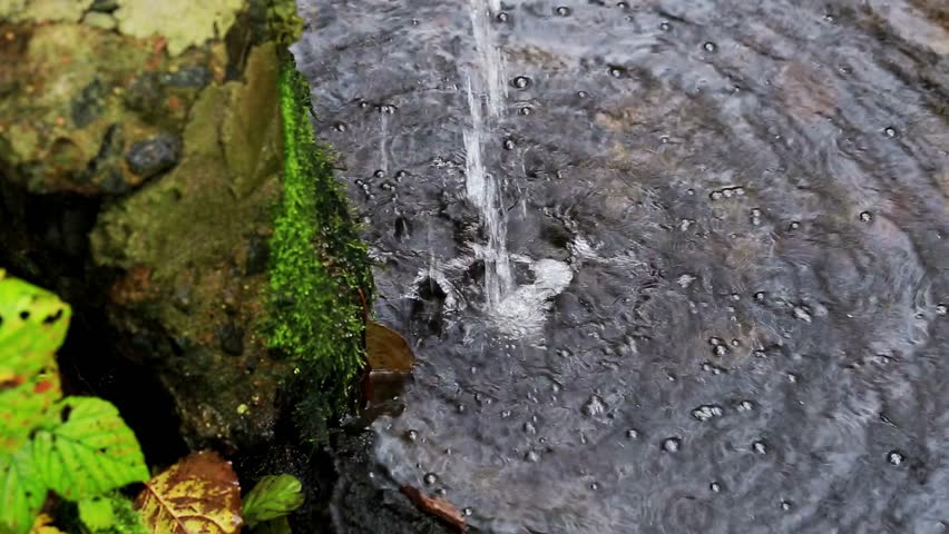 Close up of water drops falling onto dark wet rock. Ripples and bubbles form. Green moss on rock. Autumn leaves present. Natural outdoor scene, stream or spring