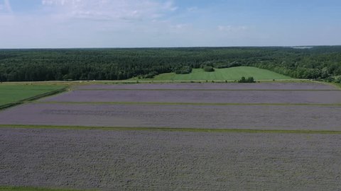 Aerial Rotation over Countryside Field