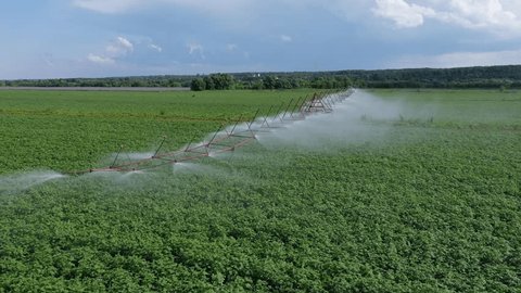 Low Drone Orbit over Irrigated Field