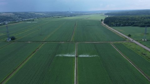 Forward Drone Flight Downward Tilt over Farmland