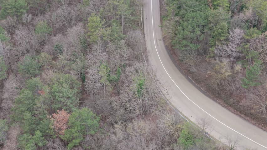 Remote forest route surrounded by trees and hills creating peaceful rural landscape scenery.