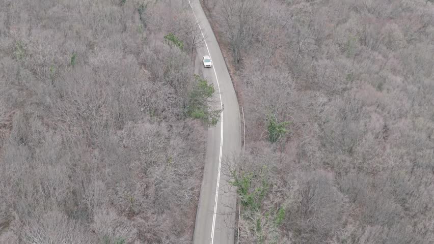 Quiet winding road cutting through forest hills with natural textures and outdoor travel mood.