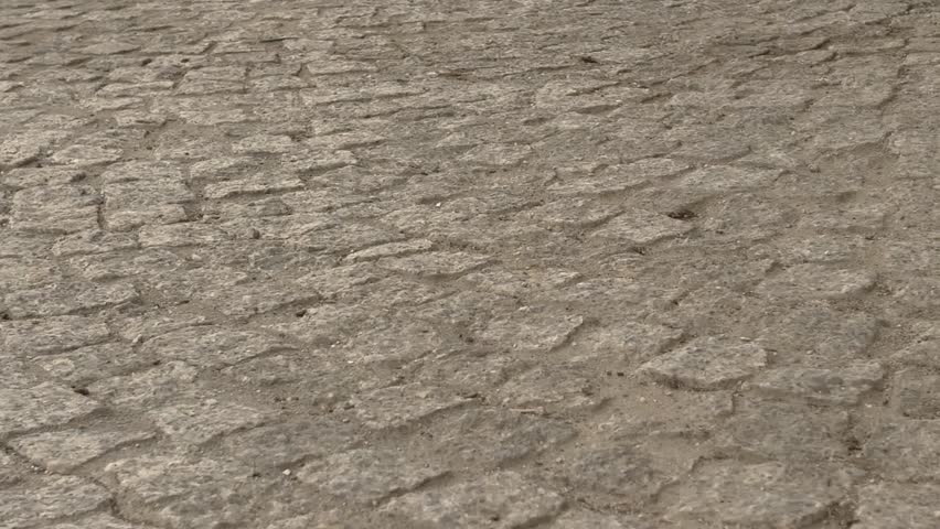 Cheerful small fluffy dog running happily towards the camera on a medieval stone pavement by the lake. Professional stabilized shot with natural lighting and vibrant colors.
