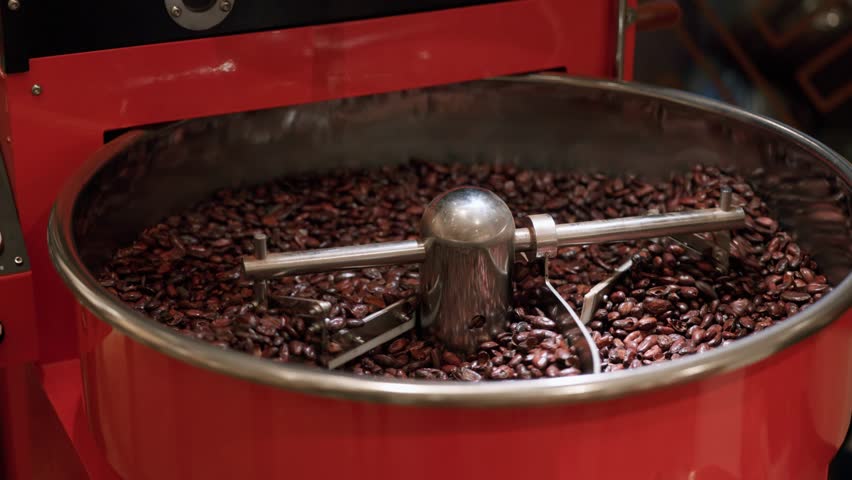 Roasting cocoa beans in industrial coffee roaster for chocolate production.