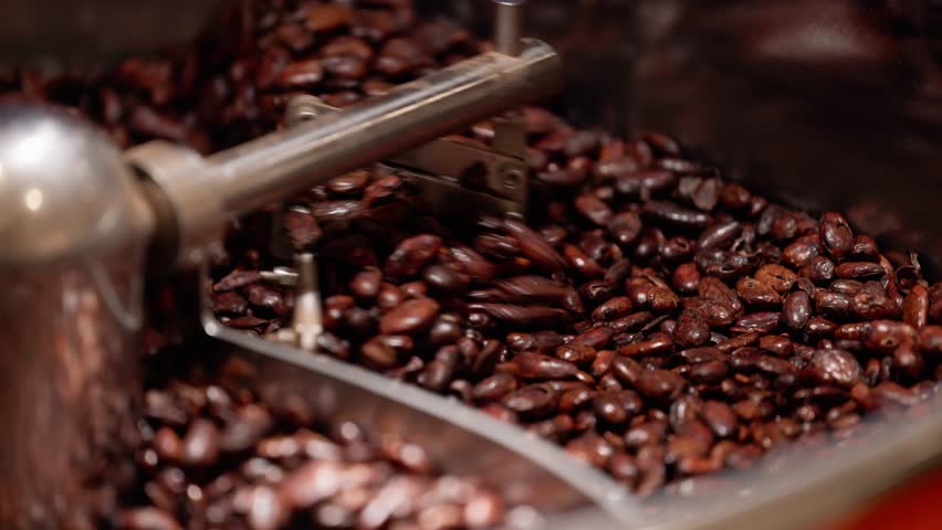 Chocolate production, Roasting cocoa beans in industrial roaster.