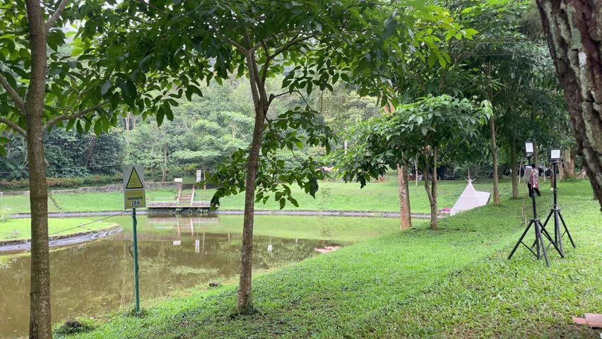Serene Tropical Nature Park Landscape with Reflective Pond and Green Forest