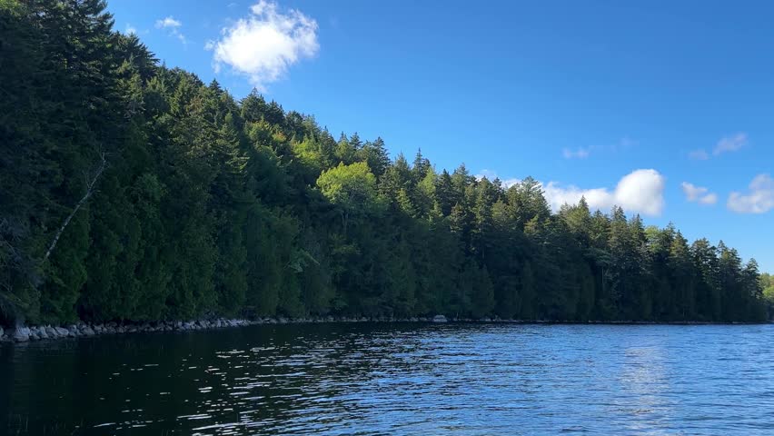 Forest shoreline of Long Pond in Acadia National Park Maine nature