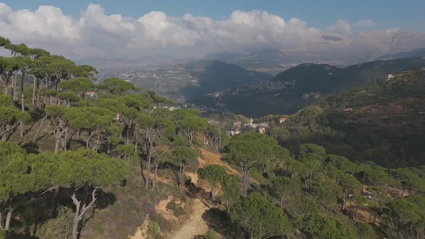 Drone aerial orbit over dense Dhour Shweir forest canopy, Lebanon. Perfect for environmental, eco-tourism, travel marketing, nature backgrounds, and cinematic establishing shots.