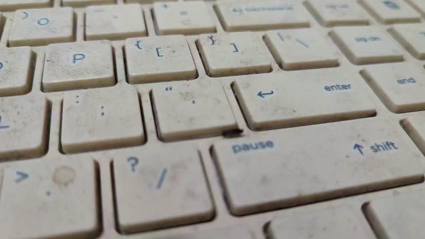 close up Cockroach crawling on keyboard	