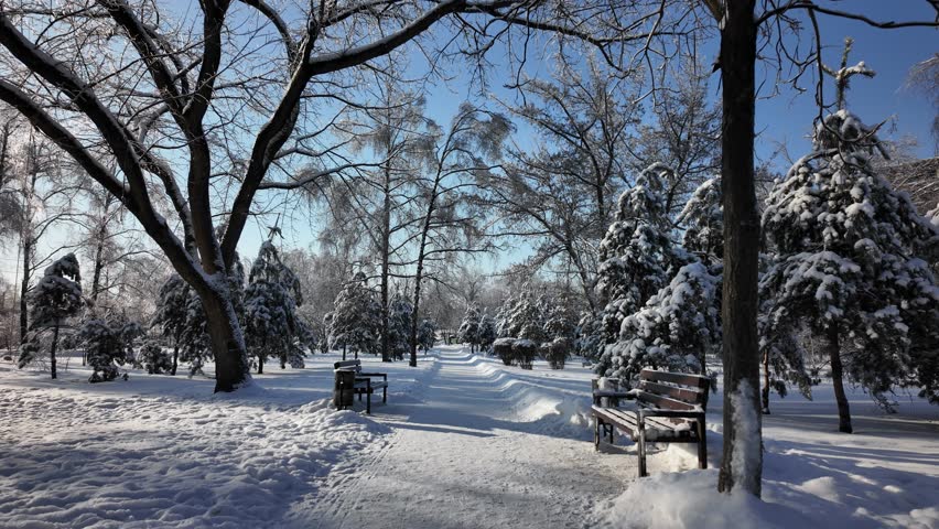 Serene winter park path with snow-covered trees and benches under a clear blue sky. This snowy landscape features a slow camera push-in movement.