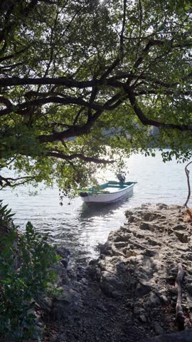 A boat floating on the lake