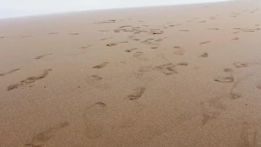Footprints in the beach sand