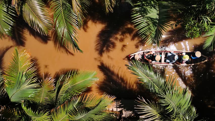 Aerial view of tourists in traditional boats on a mekong delta tour in vietnam cruising through a palm forest canal.
