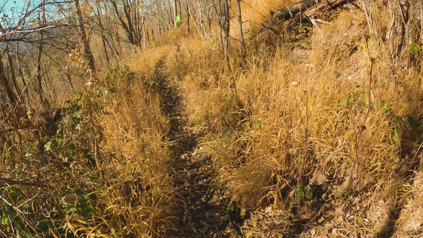 A narrow, overgrown trail on a sunny autumn mountainside. The path winds through tall golden grass and bare trees. First-person perspective of hiking, exploration, and adventure